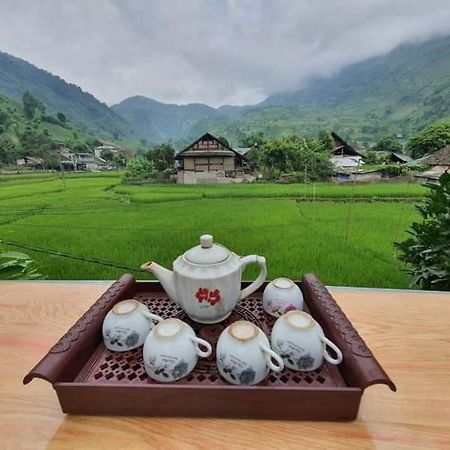 Organic Farm Homestay Шапа Екстер'єр фото