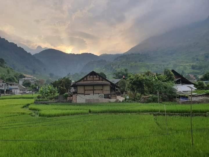 Organic Farm Homestay Шапа Екстер'єр фото